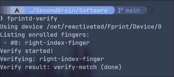 Successful fingerprint usage in Arch Linux