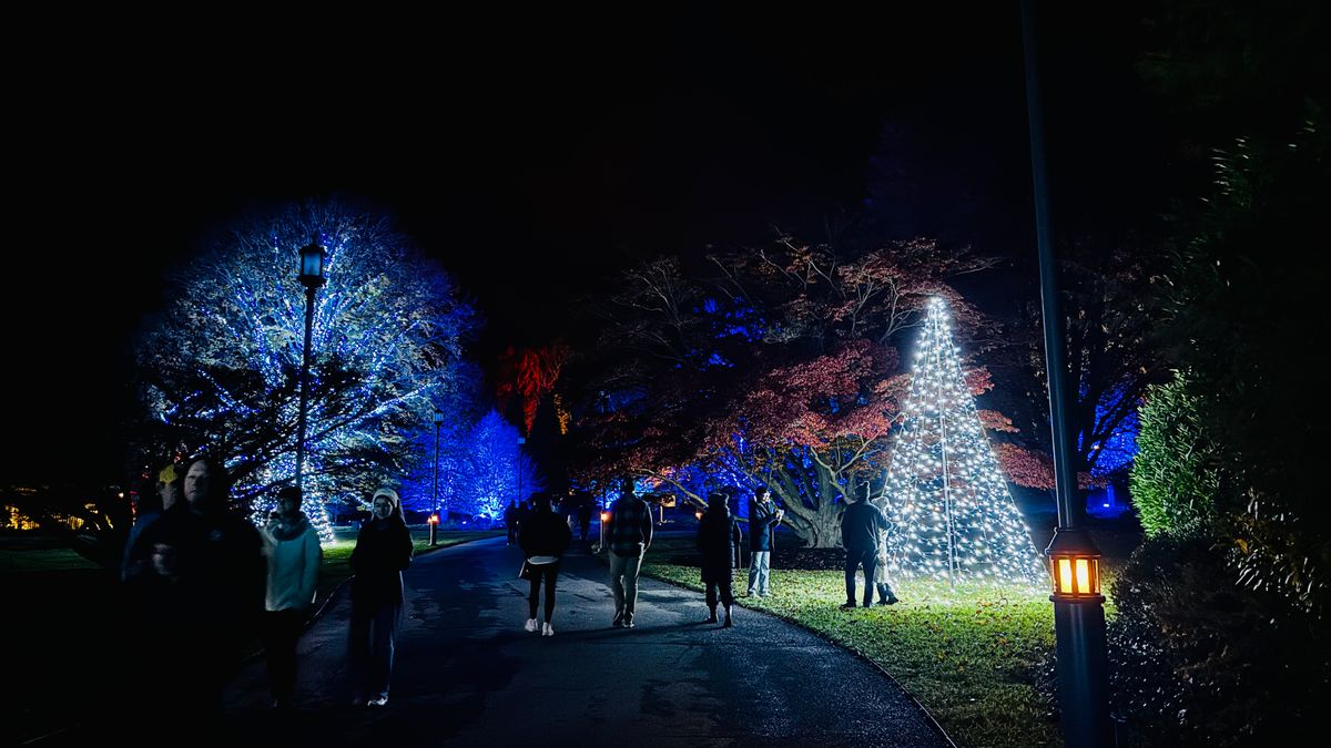 Holiday lights at night in Longwood Gardens