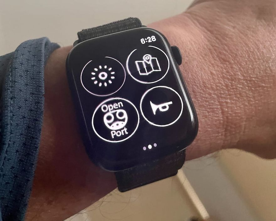 Stats app on Apple Watch